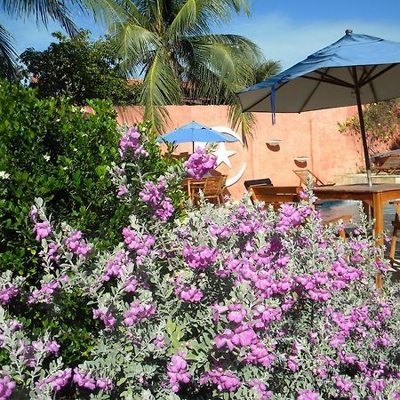 Pousada Carol Canoa Quebrada Exterior photo